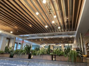 Interior   at Wildseed in San Francisco