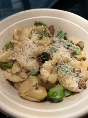 Pug  at Wildseed in San Francisco