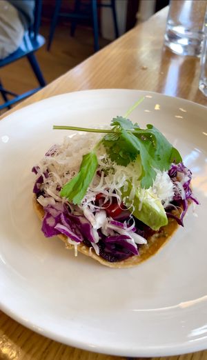 Beet Tostada. Sikil pak, black beans, beets, cabbage, avocado, pickled Fresno chile, vegan parmesan, cilantro  at Wildseed in San Francisco