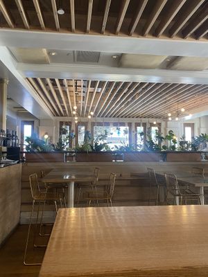 Indoor Seating Area (in front of bar)  at Wildseed in San Francisco