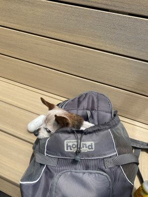 Corner Booth Area in Carrier (Doggo Friendly)  at Wildseed in San Francisco
