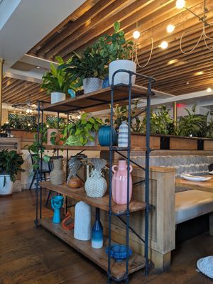  at Wildseed in San Francisco