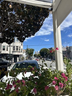 View from outside seating   at Wildseed in San Francisco
