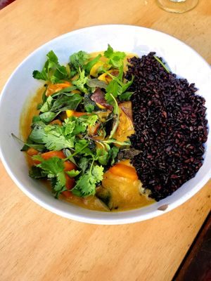 Spicy Yellow Curry at Wildseed in San Francisco