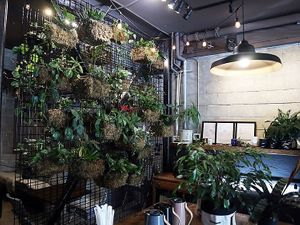 Beautiful plant wall at The Garden in Vancouver