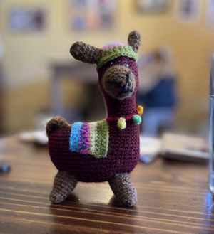 La  at Llama Cafe in Uyuni