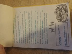  at Llama Cafe in Uyuni