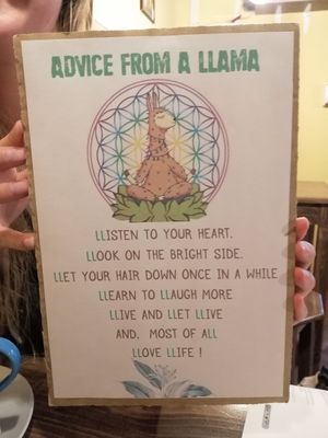 LLoLL! at Llama Cafe in Uyuni