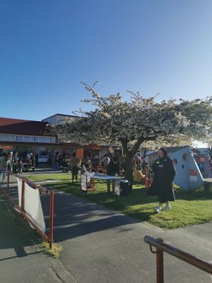  at Vegan Night Market in Christchurch