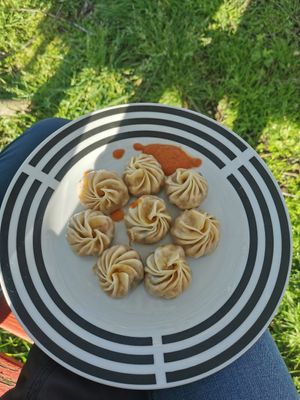  at Vegan Night Market in Christchurch