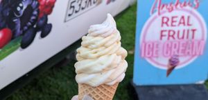 Mango soft-serve by Anshu's Real Fruit Ice Cream at Vegan Night Market in Christchurch