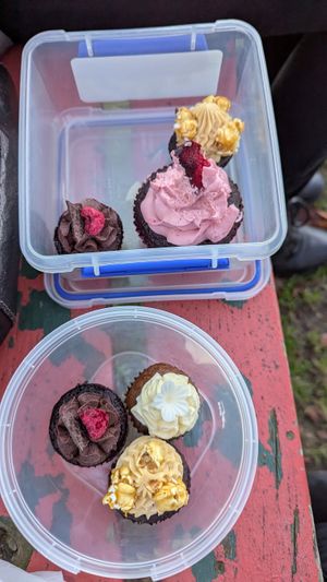  at Vegan Night Market in Christchurch