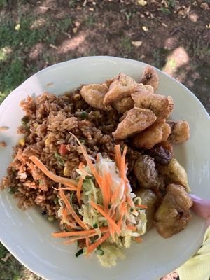   at Vegan Night Market in Christchurch