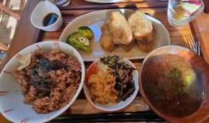 Set meal at Hitokokyu in Tokyo