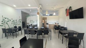  at 729 Vegan in North Singapore