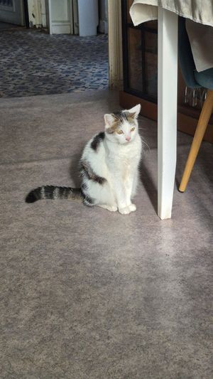  at M.Y.Table-Restaurant in Augan