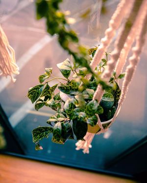 Plant-based at Nude Food in Augsburg