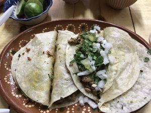 Gringas  at Mexico Veggie in San Luis Potosi