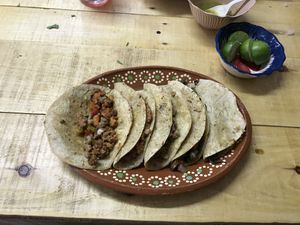 Taquitos at Mexico Veggie in San Luis Potosi