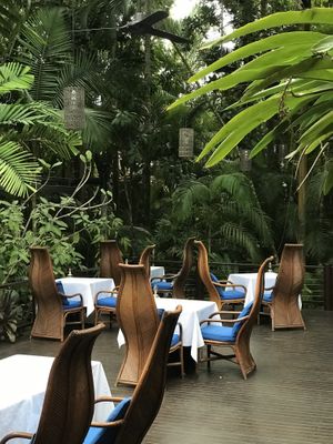 Nautilus at Nautilus in Port Douglas