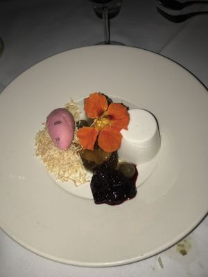 Vegan panna cotta  at Nautilus in Port Douglas
