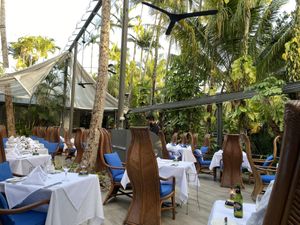 Outdoor seating by day at Nautilus in Port Douglas