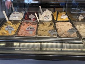 8 vegan options   at Gelateria Dei Coltelli in Williston Park