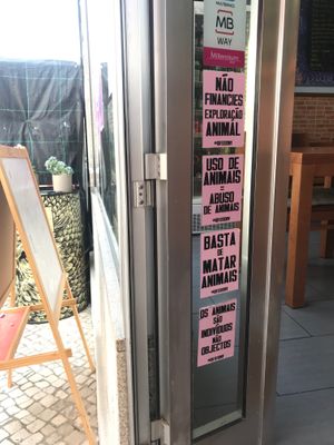 messages at Prema in Viseu