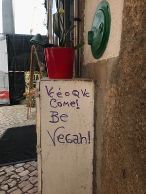 yes at Prema in Viseu