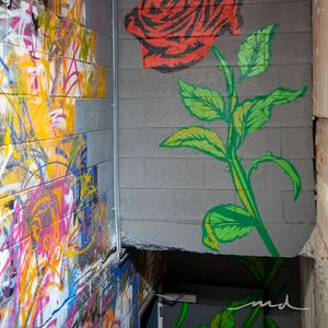 Entry at Miss Demeanour in Brisbane