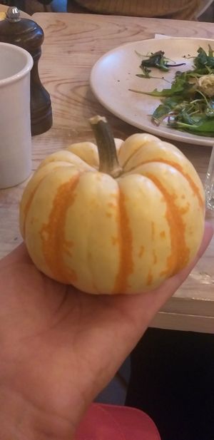 Cute small pumpkins) at VegaRoom in Lviv