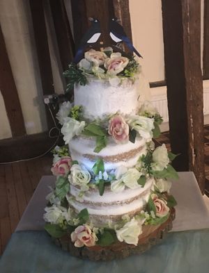  at The Iced Vegan Wedding Cake in Mundford