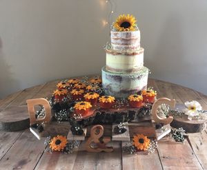  at The Iced Vegan Wedding Cake in Mundford