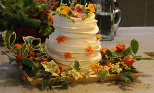  at The Iced Vegan Wedding Cake in Mundford