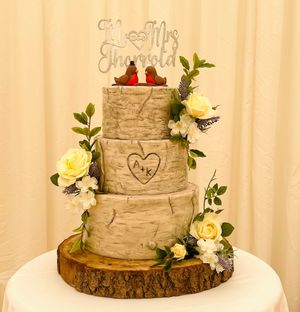  at The Iced Vegan Wedding Cake in Mundford