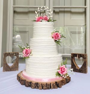  at The Iced Vegan Wedding Cake in Mundford