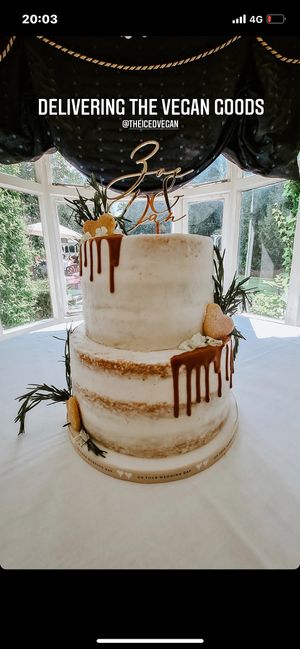  at The Iced Vegan Wedding Cake in Mundford