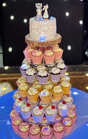  at The Iced Vegan Wedding Cake in Mundford