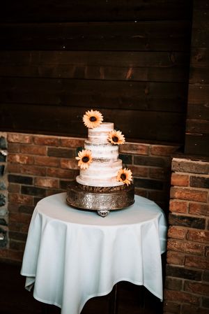  at The Iced Vegan Wedding Cake in Mundford