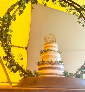  at The Iced Vegan Wedding Cake in Mundford