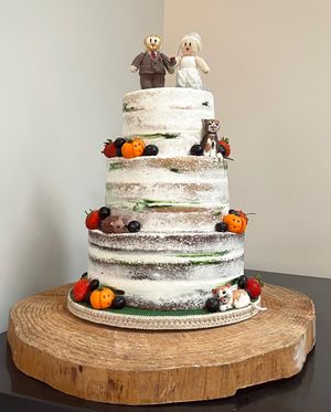  at The Iced Vegan Wedding Cake in Mundford