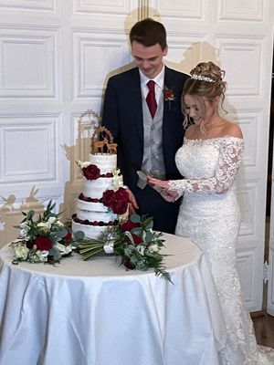  at The Iced Vegan Wedding Cake in Mundford