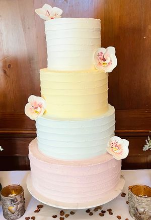  at The Iced Vegan Wedding Cake in Mundford