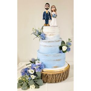  at The Iced Vegan Wedding Cake in Mundford