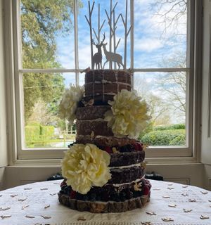  at The Iced Vegan Wedding Cake in Mundford