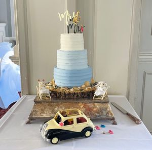  at The Iced Vegan Wedding Cake in Mundford