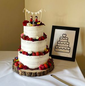  at The Iced Vegan Wedding Cake in Mundford