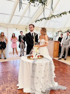  at The Iced Vegan Wedding Cake in Mundford