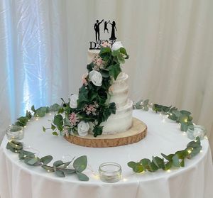  at The Iced Vegan Wedding Cake in Mundford