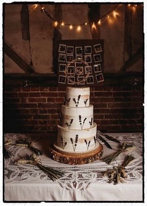  at The Iced Vegan Wedding Cake in Mundford